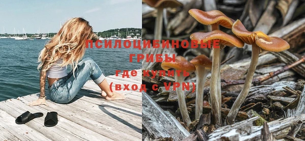 PSILOCYBIN Володарск