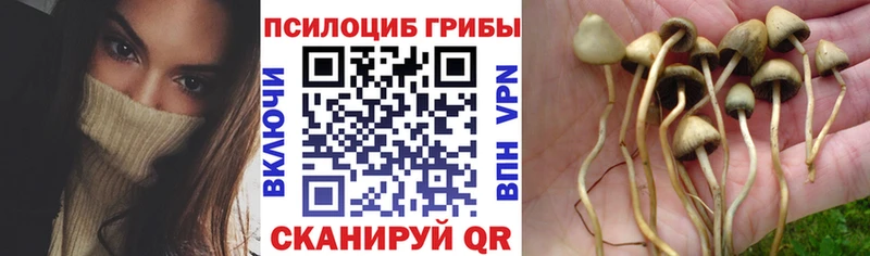 Псилоцибиновые грибы ЛСД  Купить где  Карталы 