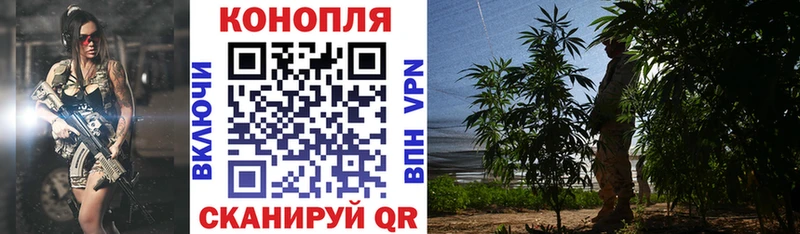 Купить где  Карталы  Шишки марихуана Ganja 